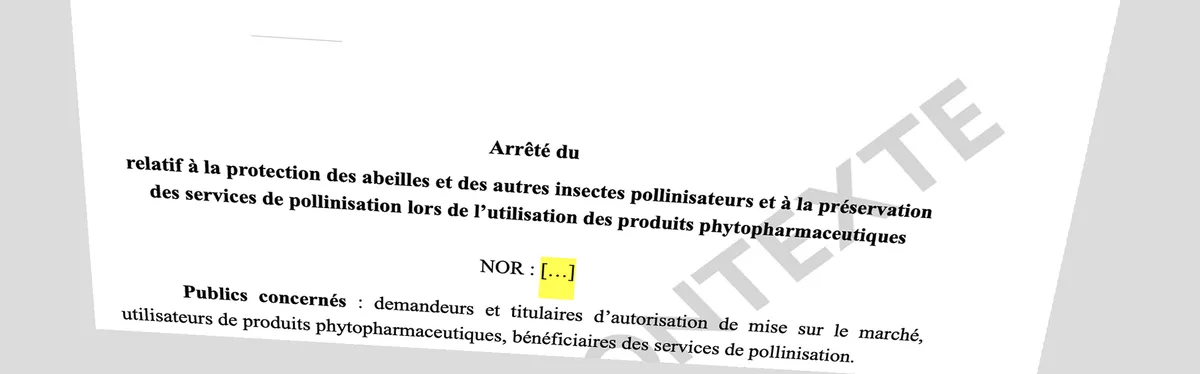 Document Contexte - L’arrêté « mention abeilles » au 18 novembre