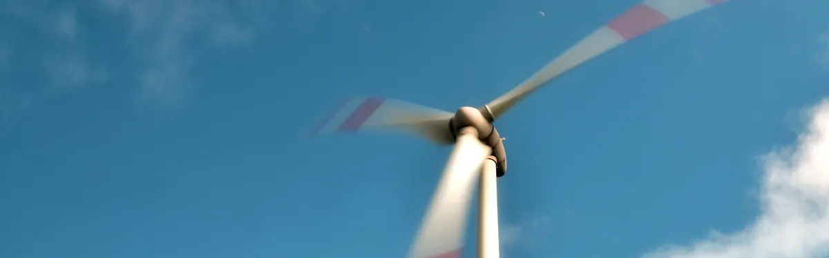 Éolien : le droit et l’oiseau