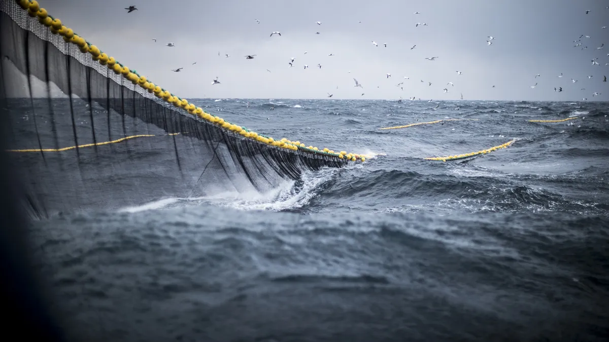 Comment Paris veut remodeler son thermomètre de la santé des eaux marines