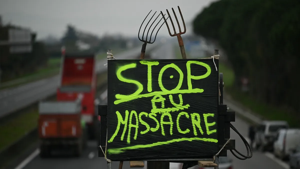 Dermatose bovine : les enseignements de cette nouvelle crise agricole