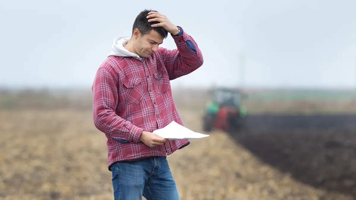 Règlement déforestation : malgré le report, le chemin reste semé d'embuches pour les entreprises